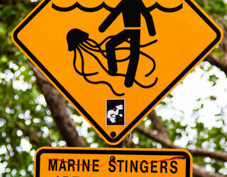 What to Do If You Get a Sunburn, Sting, or Sprain at Tybee Island