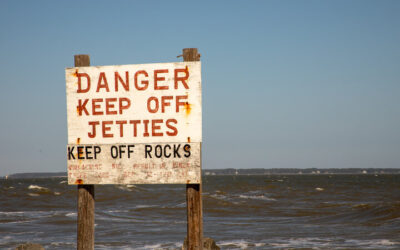 Summer in Coastal Georgia: Beautiful, Fun… and Full of Hidden Health Hazards