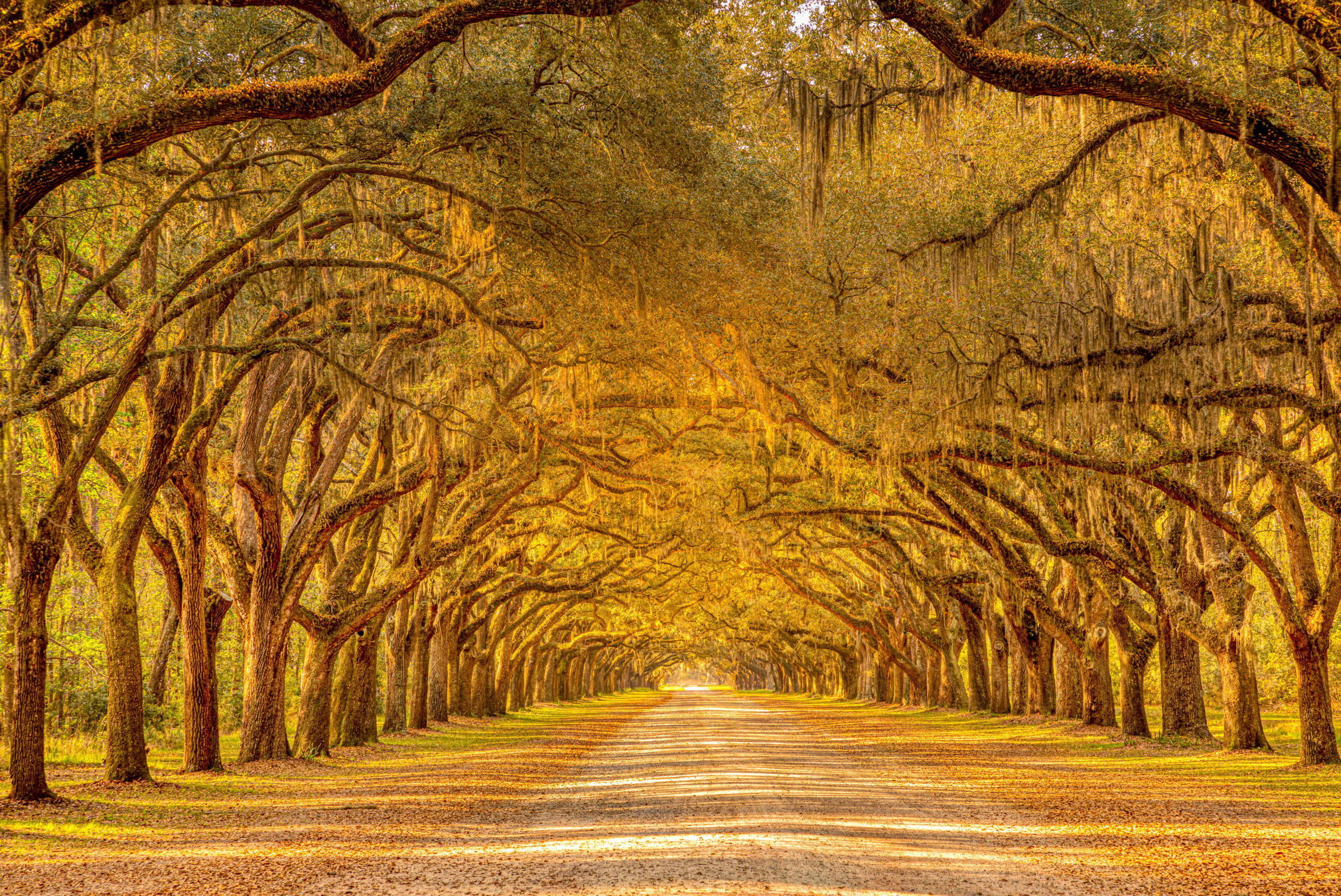 Fall Festivals in Savannah, Georgia